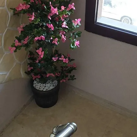 게스트하우스 морската къща 4*