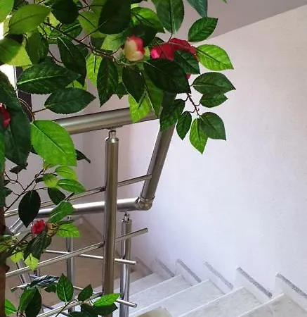 морската къща 게스트하우스 4*